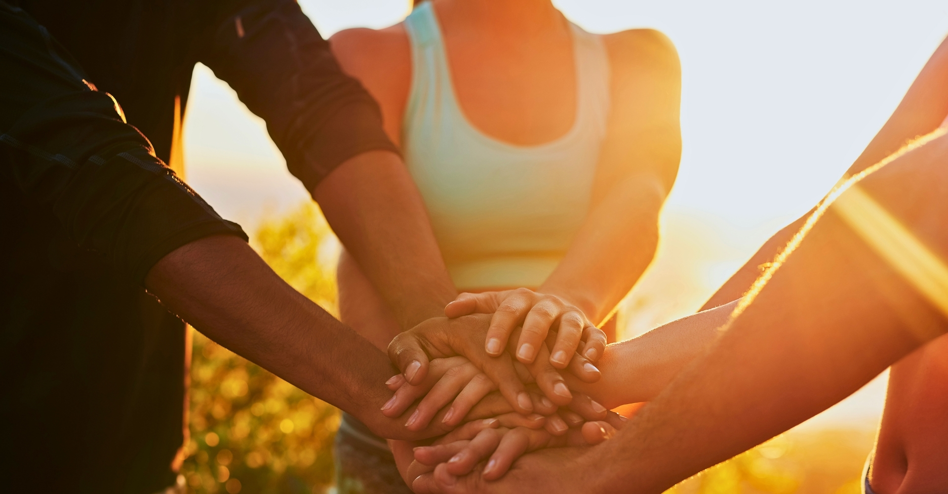 Introducing Root + Rise: Your Path to Wellness